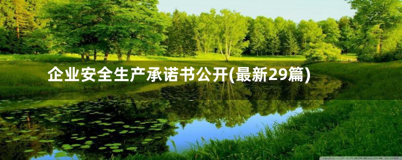 企业安全生产承诺书公开(最新29篇)