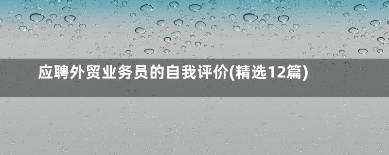 应聘外贸业务员的自我评价(精选12篇)