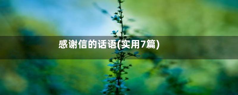 感谢信的话语(实用7篇)