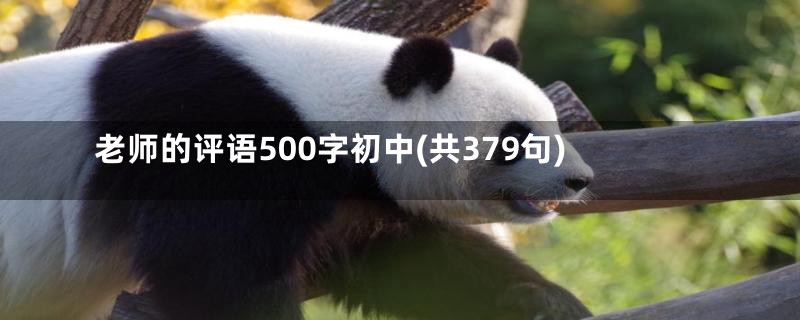 老师的评语500字初中(共379句)