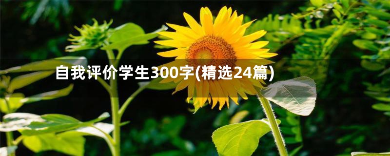 自我评价学生300字(精选24篇)