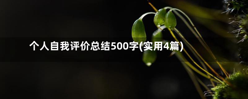 个人自我评价总结500字(实用4篇)