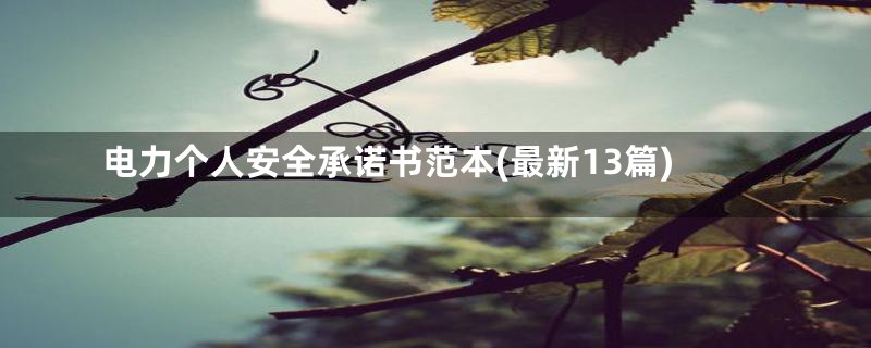 电力个人安全承诺书范本(最新13篇)