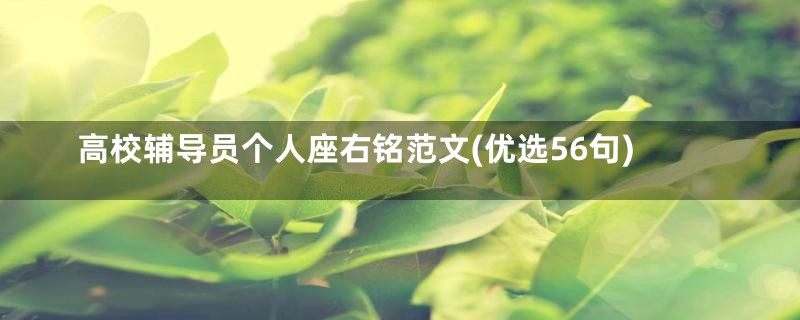 高校辅导员个人座右铭范文(优选56句)