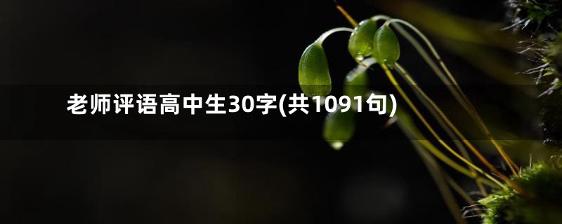 老师评语高中生30字(共1091句)