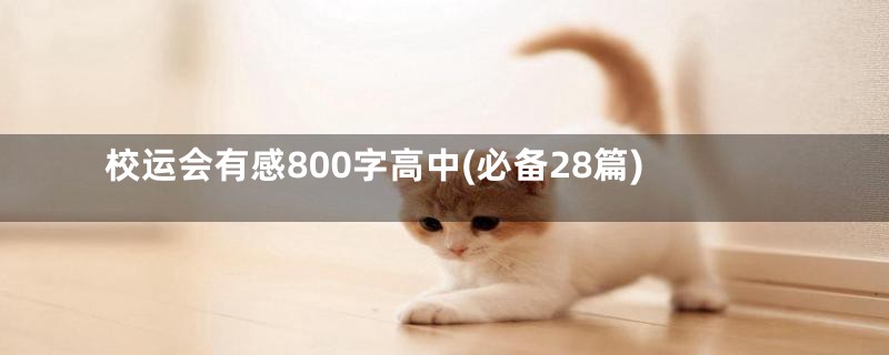 校运会有感800字高中(必备28篇)