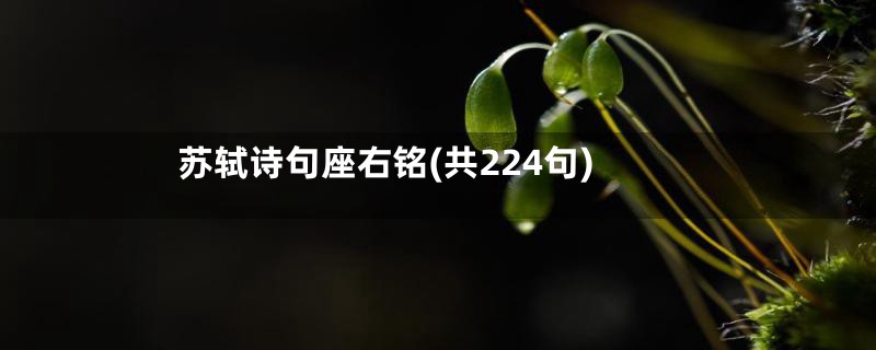 苏轼诗句座右铭(共224句)