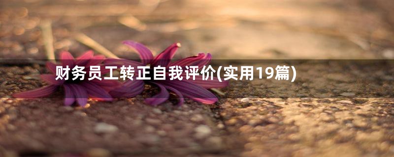 财务员工转正自我评价(实用19篇)