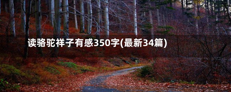 读骆驼祥子有感350字(最新34篇)