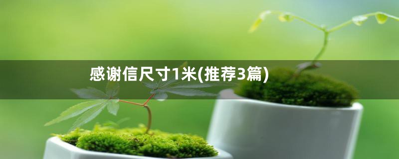 感谢信尺寸1米(推荐3篇)