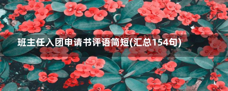 班主任入团申请书评语简短(汇总154句)