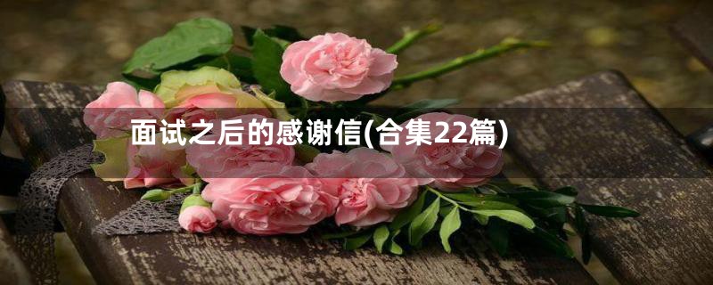 面试之后的感谢信(合集22篇)