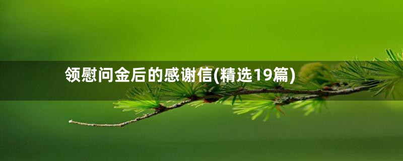 领慰问金后的感谢信(精选19篇)