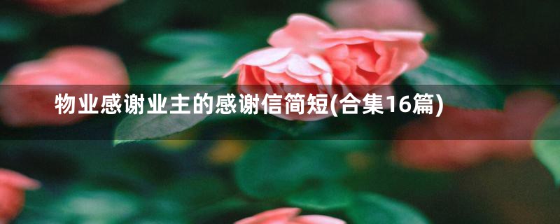 物业感谢业主的感谢信简短(合集16篇)