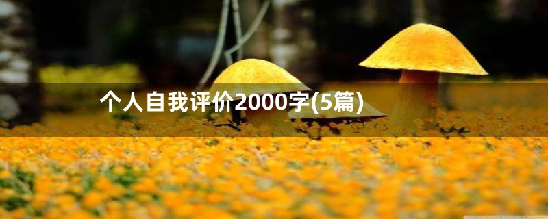 个人自我评价2000字(5篇)