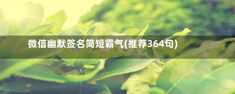 微信幽默签名简短霸气(推荐364句)