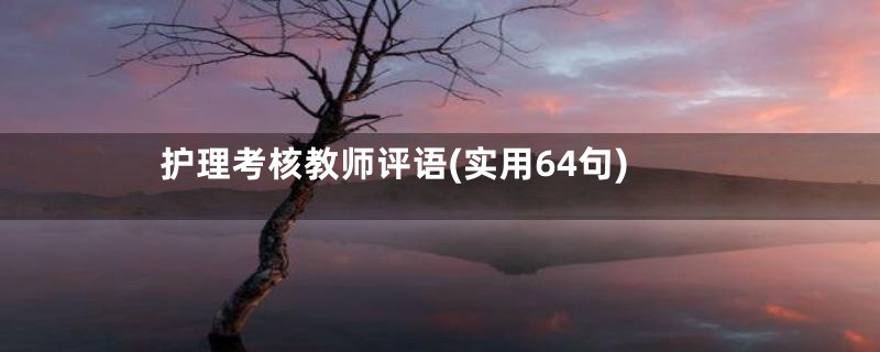 护理考核教师评语(实用64句)