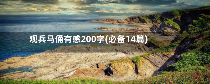 观兵马俑有感200字(必备14篇)