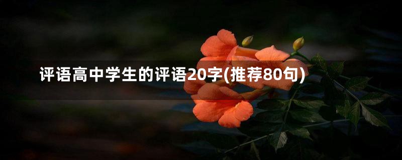 评语高中学生的评语20字(推荐80句)