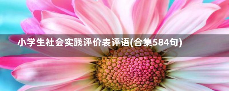 小学生社会实践评价表评语(合集584句)