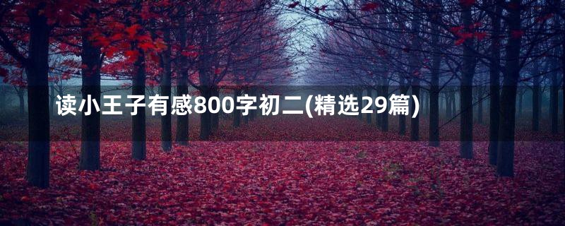 读小王子有感800字初二(精选29篇)