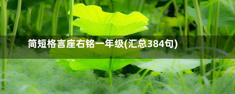 简短格言座右铭一年级(汇总384句)