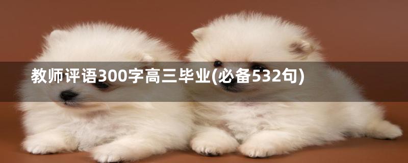 教师评语300字高三毕业(必备532句)