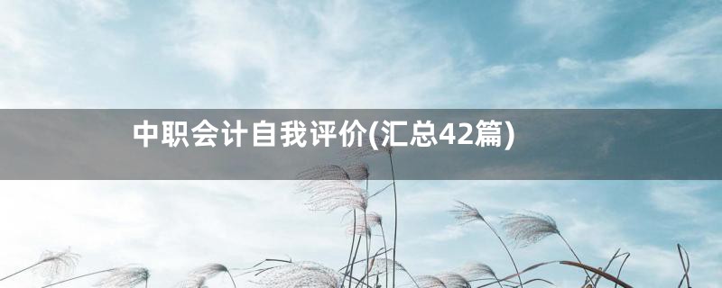 中职会计自我评价(汇总42篇)