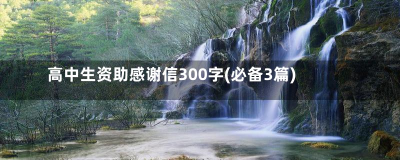 高中生资助感谢信300字(必备3篇)