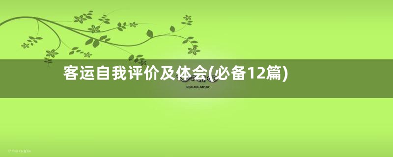 客运自我评价及体会(必备12篇)