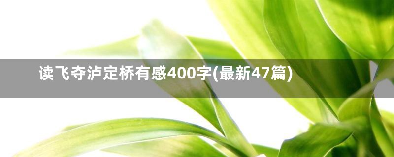 读飞夺泸定桥有感400字(最新47篇)