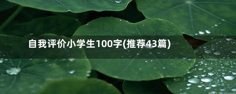 自我评价小学生100字(推荐43篇)