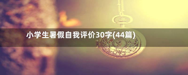 小学生暑假自我评价30字(44篇)