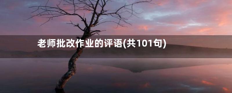 老师批改作业的评语(共101句)