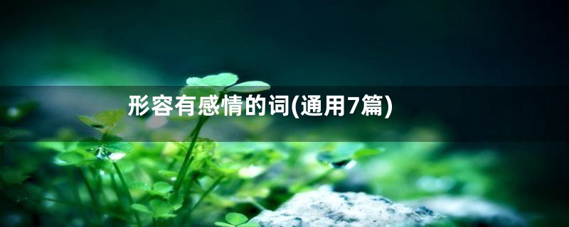 形容有感情的词(通用7篇)