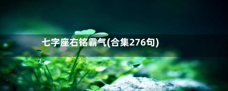 七字座右铭霸气(合集276句)