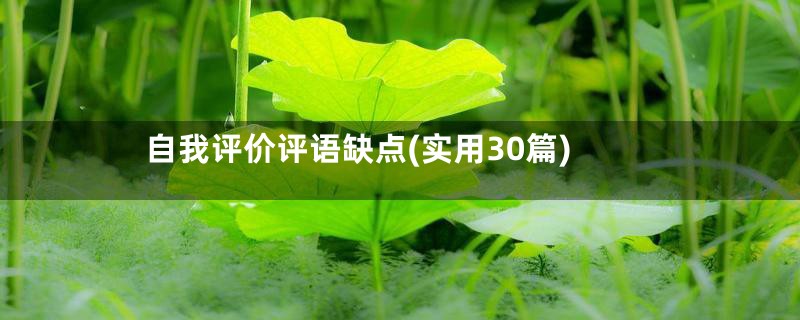 自我评价评语缺点(实用30篇)