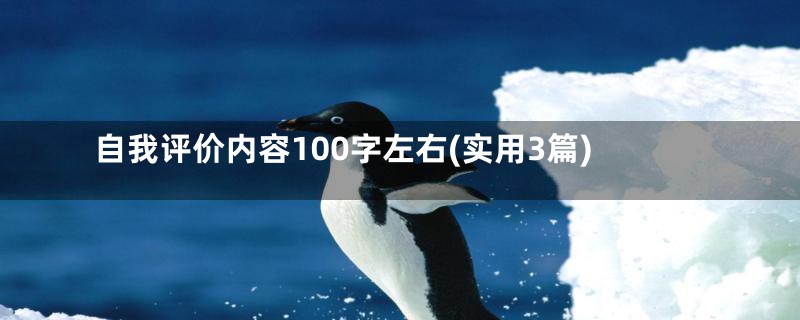 自我评价内容100字左右(实用3篇)