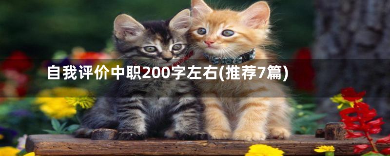 自我评价中职200字左右(推荐7篇)