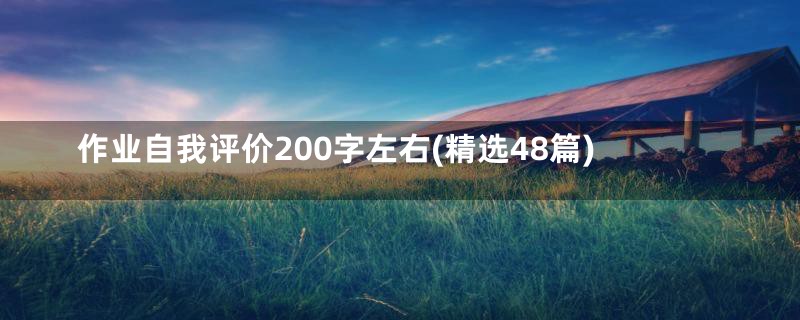 作业自我评价200字左右(精选48篇)