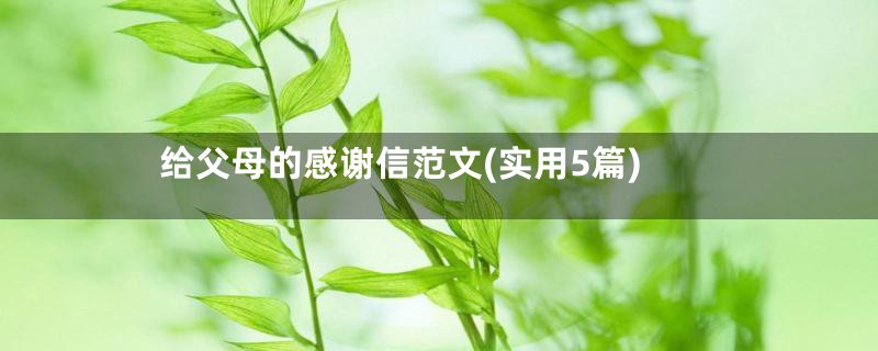 给父母的感谢信范文(实用5篇)