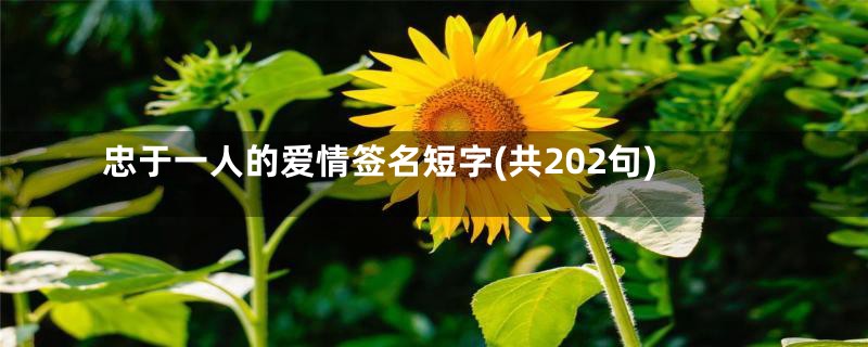 忠于一人的爱情签名短字(共202句)