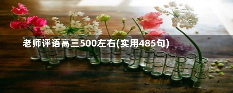 老师评语高三500左右(实用485句)