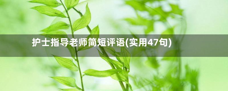 护士指导老师简短评语(实用47句)