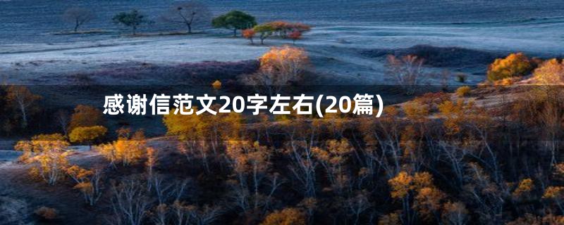 感谢信范文20字左右(20篇)