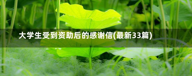 大学生受到资助后的感谢信(最新33篇)