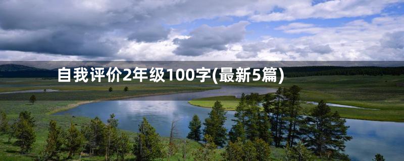 自我评价2年级100字(最新5篇)