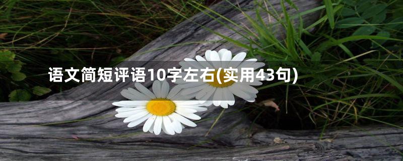 语文简短评语10字左右(实用43句)