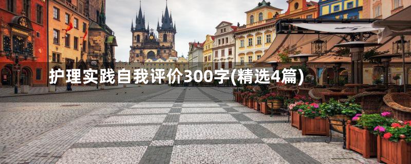 护理实践自我评价300字(精选4篇)