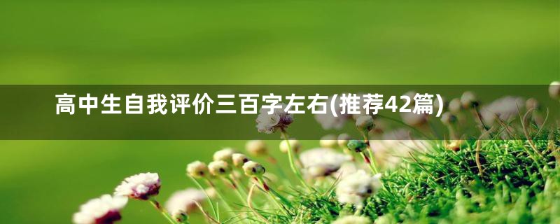 高中生自我评价三百字左右(推荐42篇)